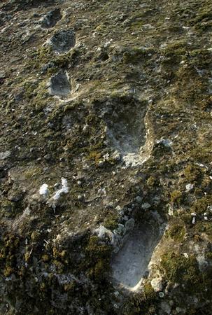 Lidské stopy na svahu sopky Roccamonfina (foto Reuters)
